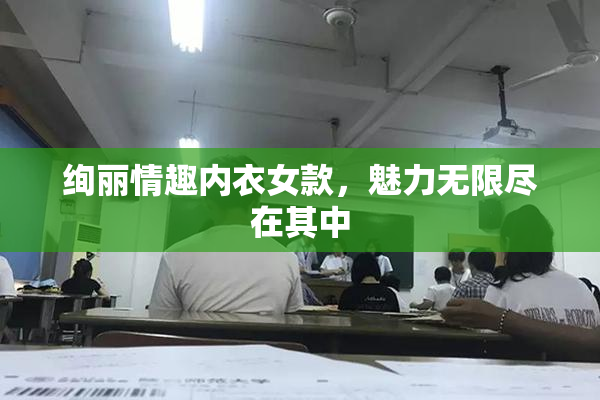绚丽情趣内衣女款，魅力无限尽在其中