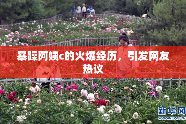 暴躁阿姨c的火爆经历，引发网友热议