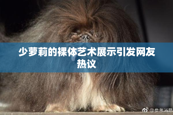 少萝莉的裸体艺术展示引发网友热议