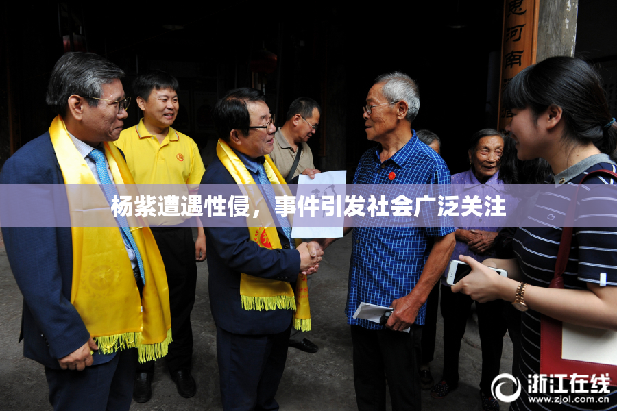 杨紫遭遇性侵，事件引发社会广泛关注