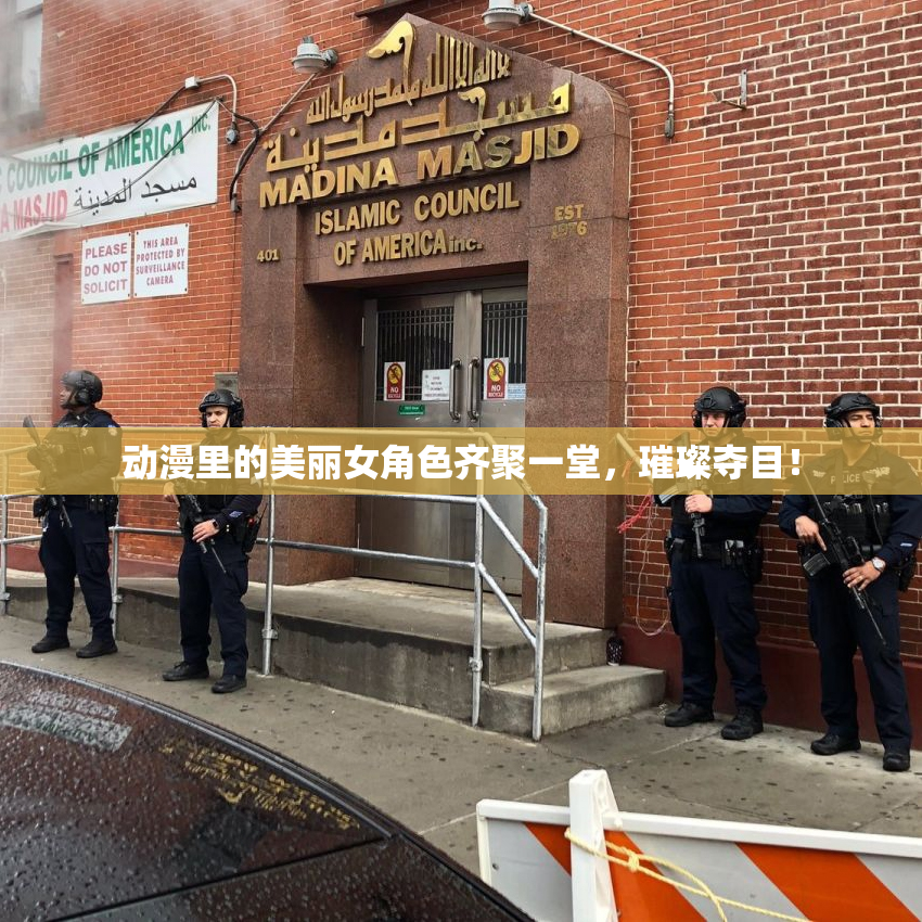 动漫里的美丽女角色齐聚一堂，璀璨夺目！