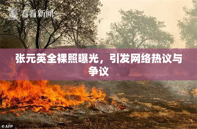 张元英全裸照曝光，引发网络热议与争议
