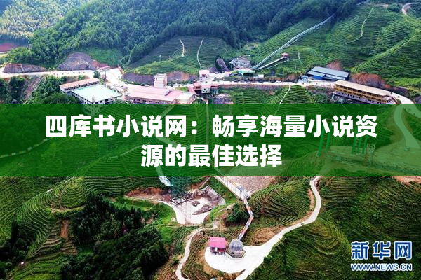 四库书小说网：畅享海量小说资源的最佳选择