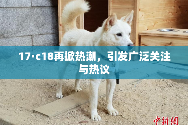 17·c18再掀热潮，引发广泛关注与热议