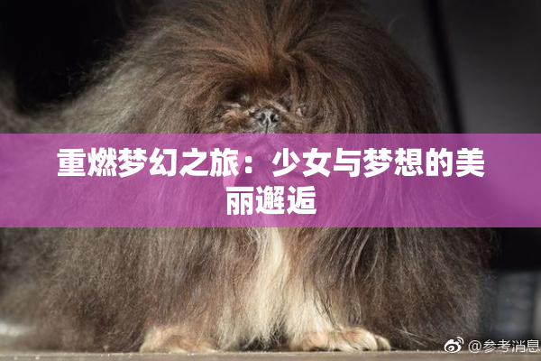 重燃梦幻之旅：少女与梦想的美丽邂逅