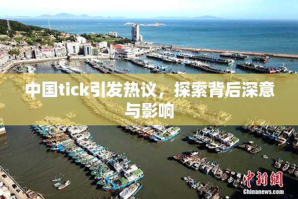 中国tick引发热议，探索背后深意与影响