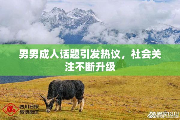 男男成人话题引发热议，社会关注不断升级