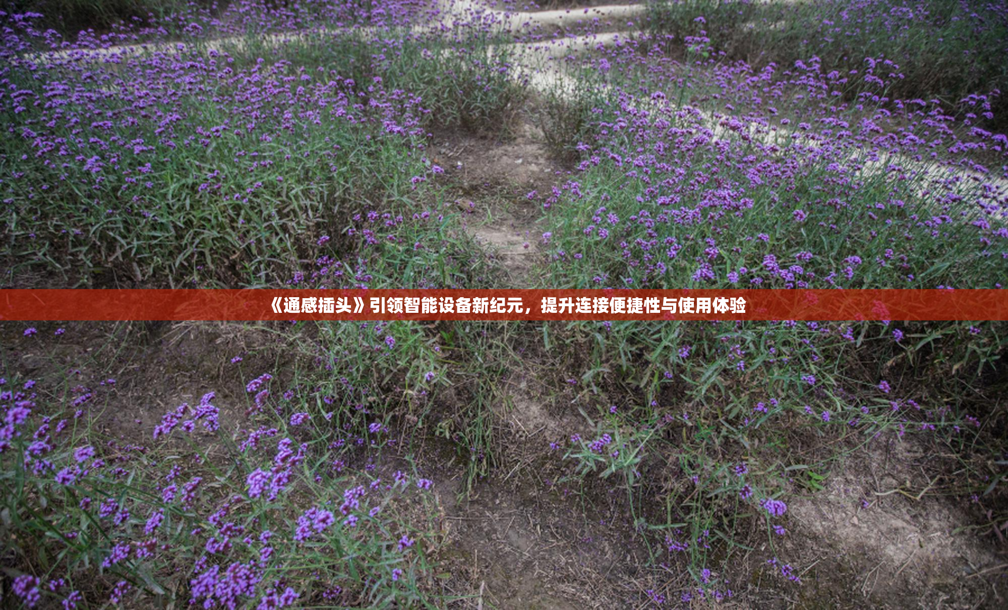 《通感插头》引领智能设备新纪元，提升连接便捷性与使用体验