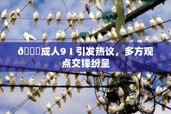 🔞成人9Ⅰ引发热议，多方观点交锋纷呈