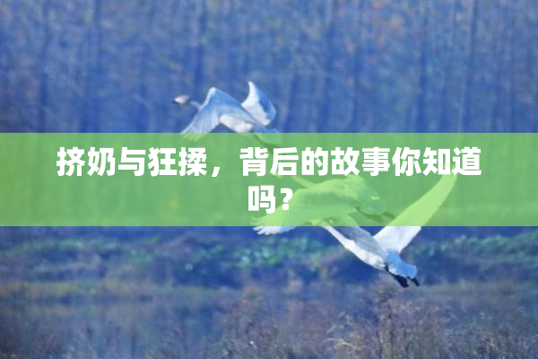 挤奶与狂揉，背后的故事你知道吗？