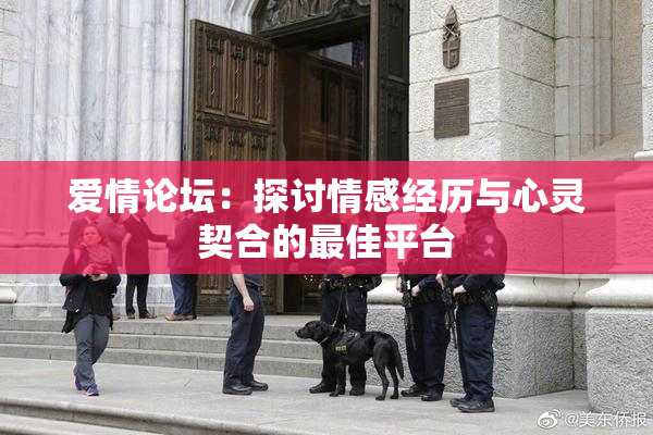 爱情论坛：探讨情感经历与心灵契合的最佳平台