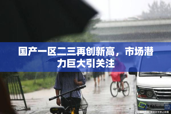 国产一区二三再创新高，市场潜力巨大引关注