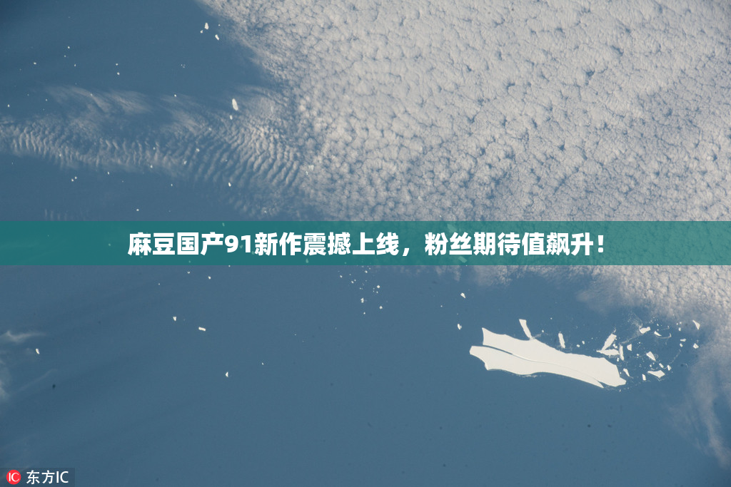 麻豆国产91新作震撼上线，粉丝期待值飙升！
