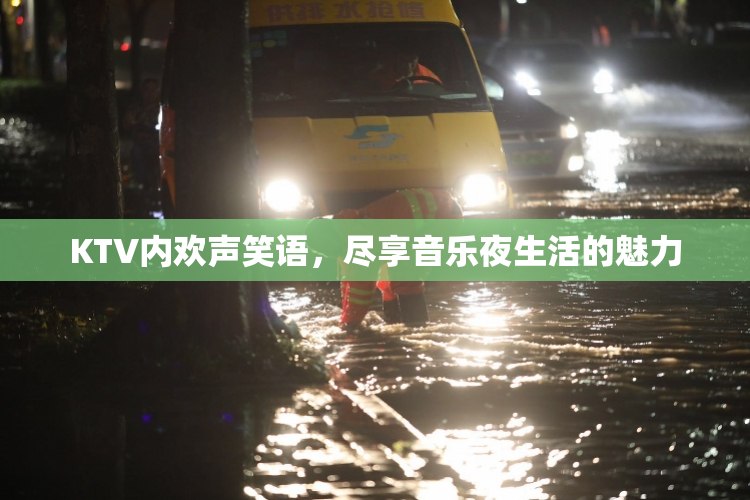 KTV内欢声笑语，尽享音乐夜生活的魅力