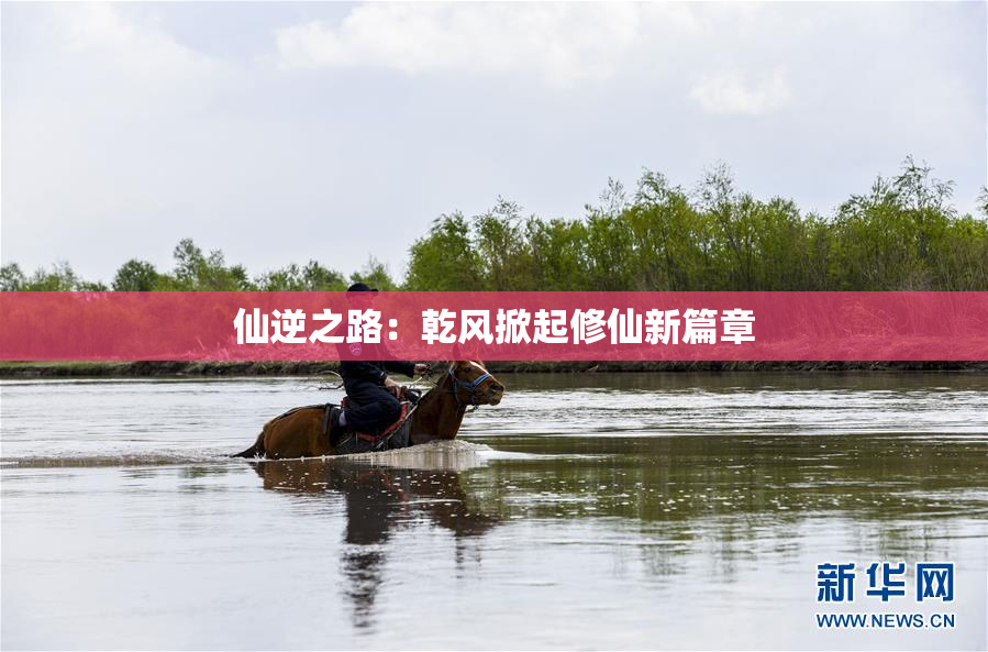 仙逆之路：乾风掀起修仙新篇章