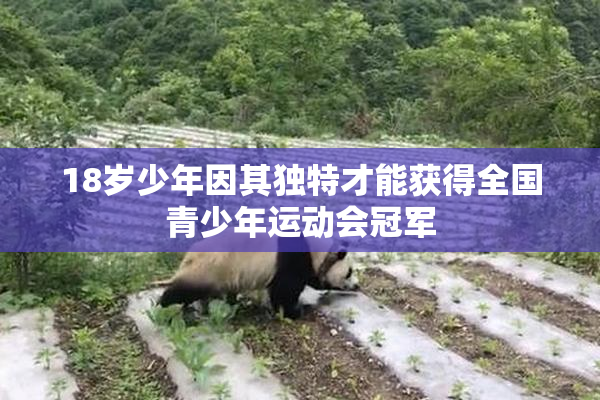 18岁少年因其独特才能获得全国青少年运动会冠军