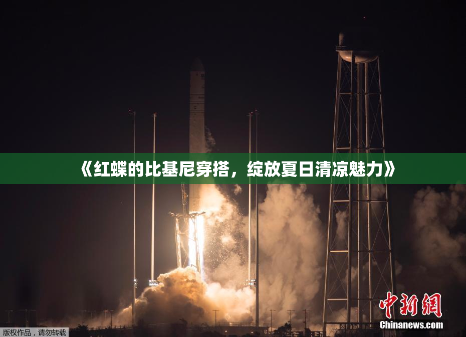 《红蝶的比基尼穿搭，绽放夏日清凉魅力》