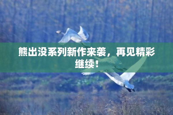 熊出没系列新作来袭，再见精彩继续！