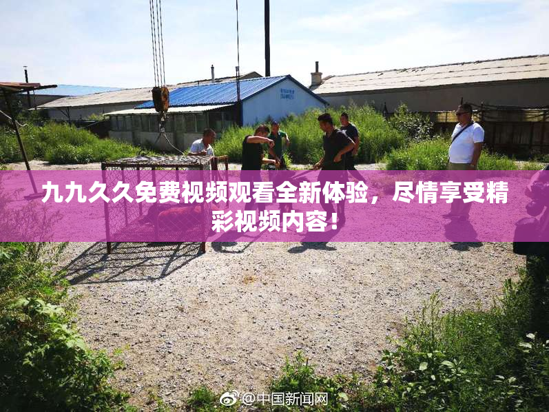九九久久免费视频观看全新体验，尽情享受精彩视频内容！