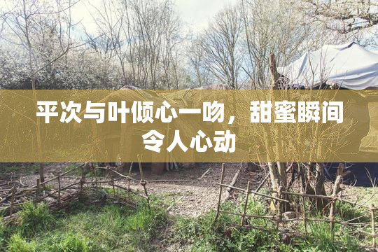 平次与叶倾心一吻，甜蜜瞬间令人心动