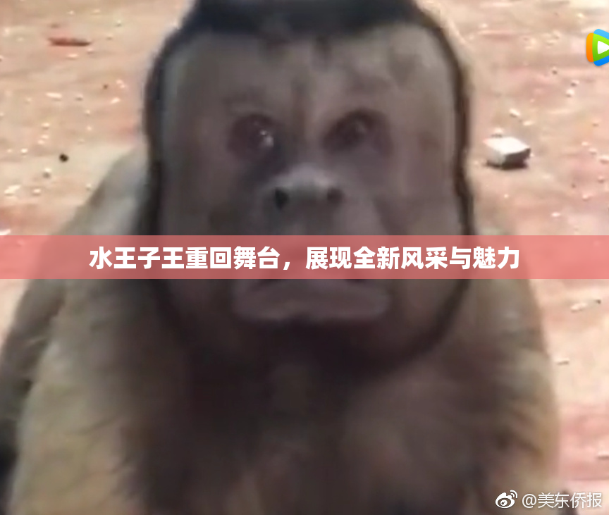 水王子王重回舞台，展现全新风采与魅力