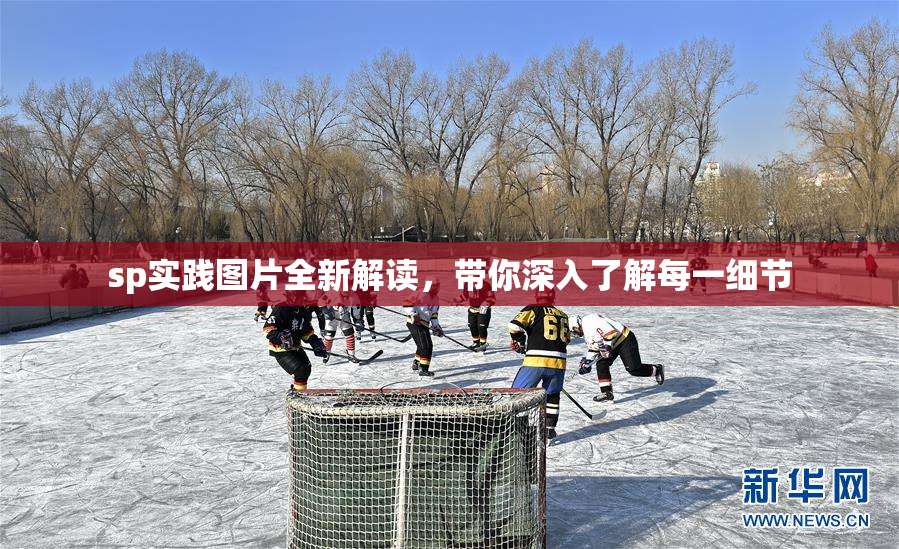 sp实践图片全新解读，带你深入了解每一细节
