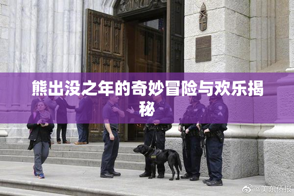 熊出没之年的奇妙冒险与欢乐揭秘