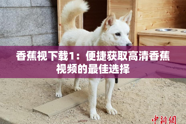 香蕉视下载1：便捷获取高清香蕉视频的最佳选择