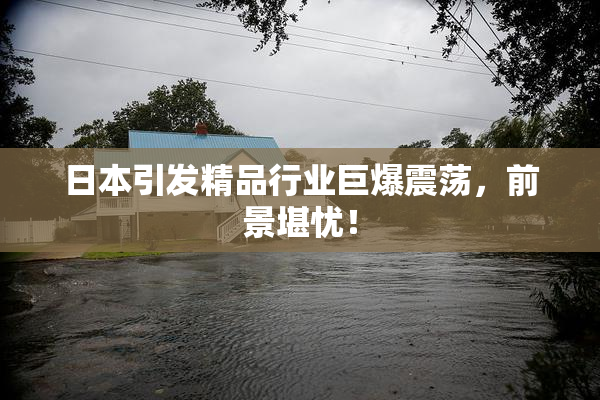 日本引发精品行业巨爆震荡，前景堪忧！