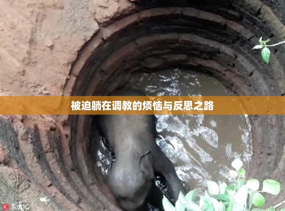 被迫躺在调教的烦恼与反思之路