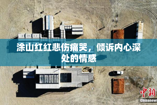 涂山红红悲伤痛哭，倾诉内心深处的情感