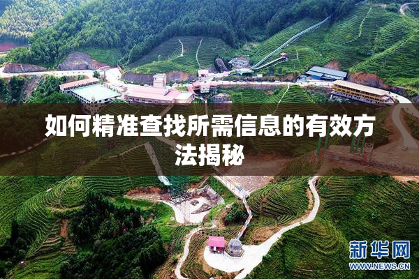 如何精准查找所需信息的有效方法揭秘