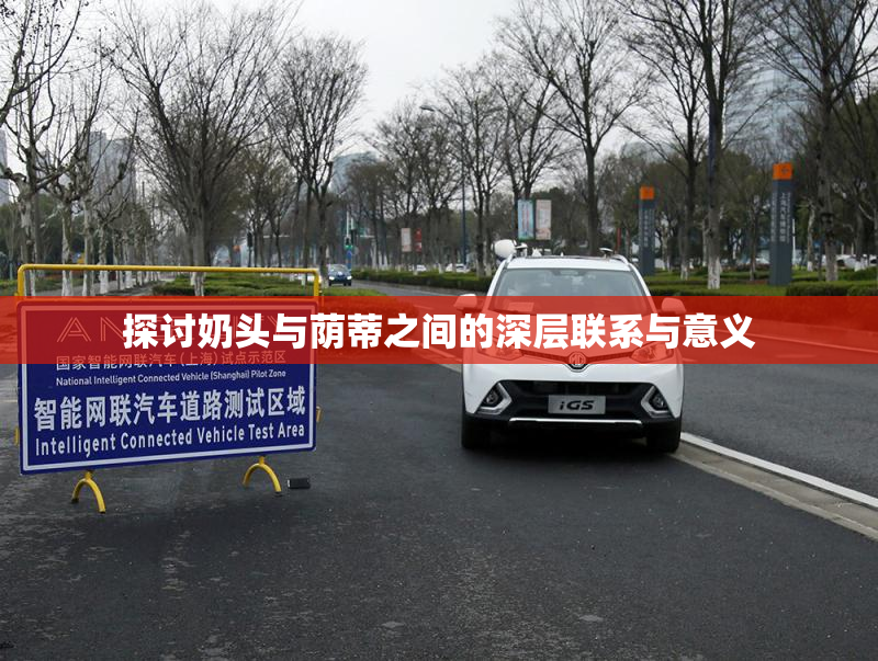探讨奶头与荫蒂之间的深层联系与意义