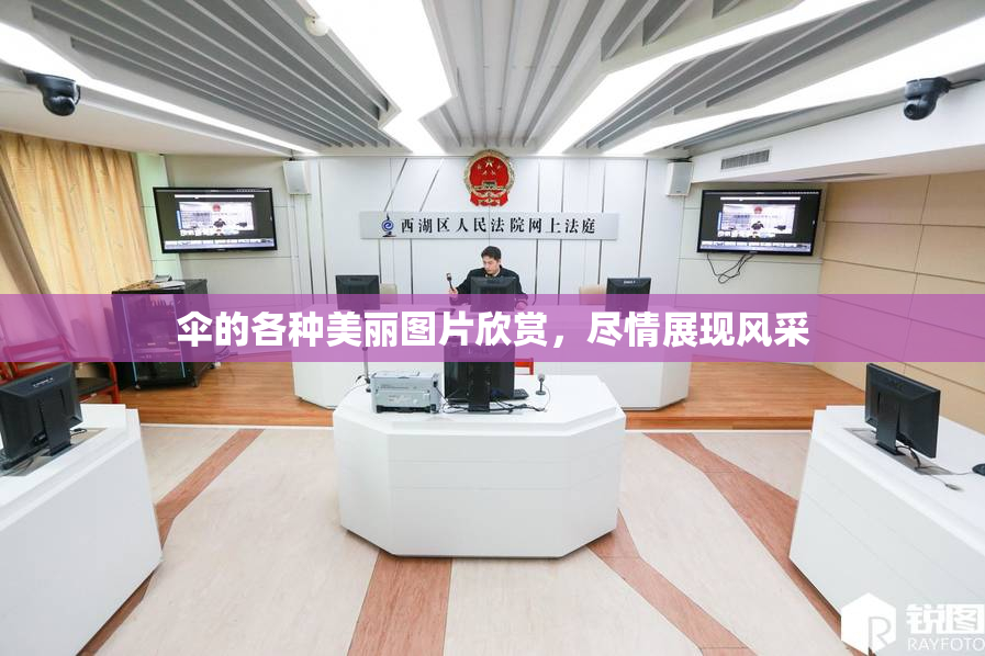 伞的各种美丽图片欣赏，尽情展现风采