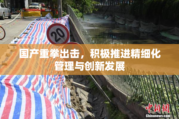 国产重拳出击，积极推进精细化管理与创新发展