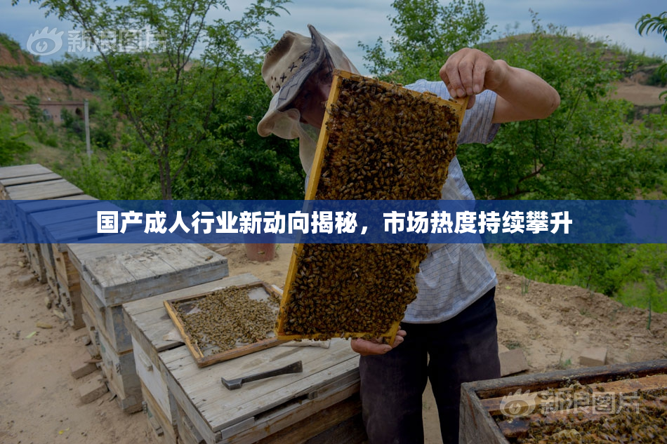 国产成人行业新动向揭秘，市场热度持续攀升