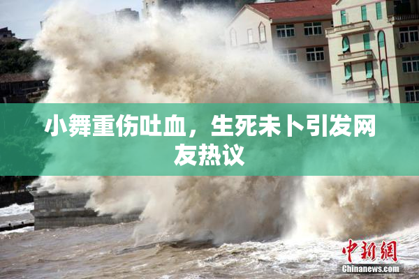 小舞重伤吐血，生死未卜引发网友热议