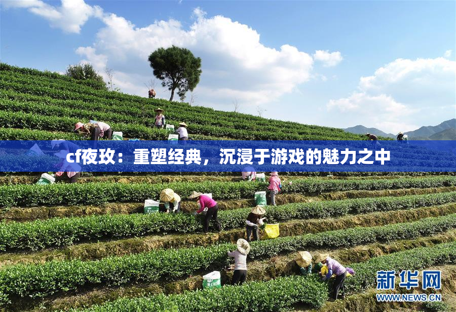 cf夜玫：重塑经典，沉浸于游戏的魅力之中