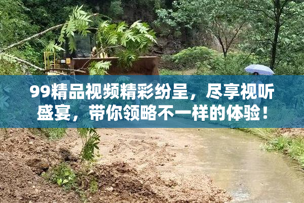 99精品视频精彩纷呈，尽享视听盛宴，带你领略不一样的体验！