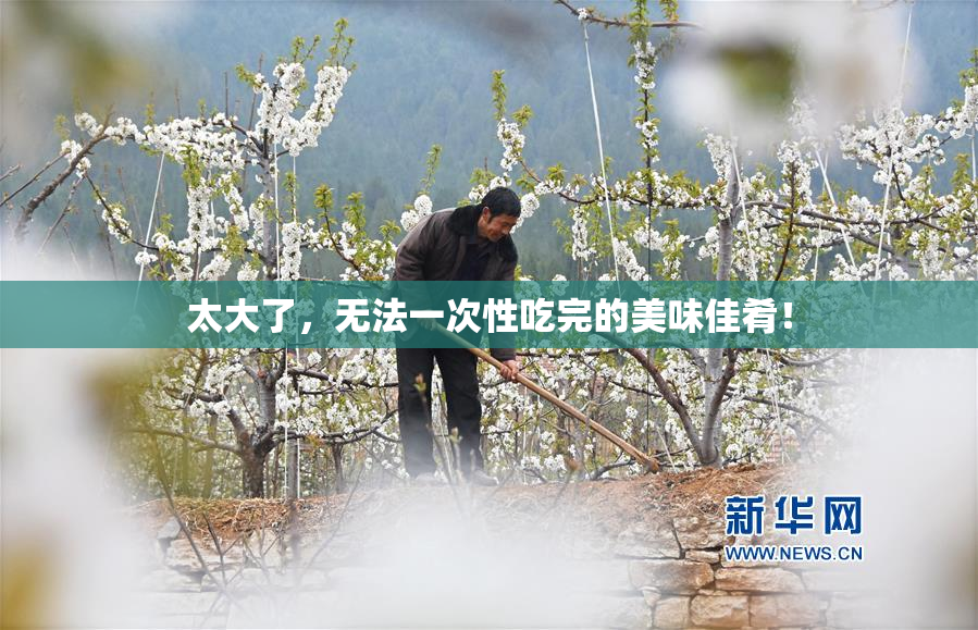 太大了，无法一次性吃完的美味佳肴！