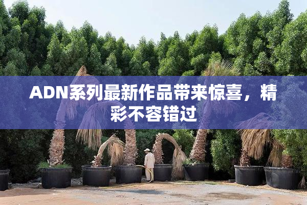 ADN系列最新作品带来惊喜，精彩不容错过