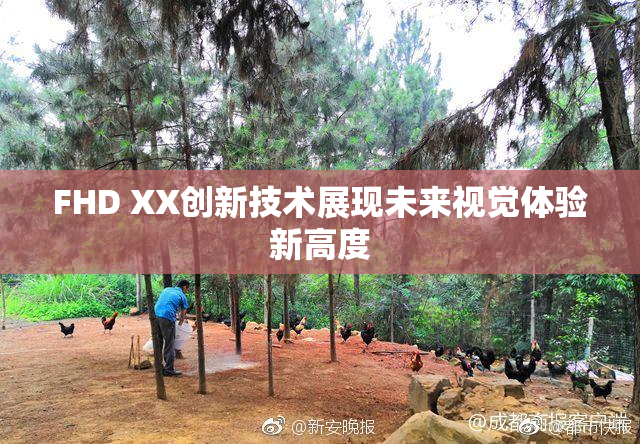 FHD XX创新技术展现未来视觉体验新高度
