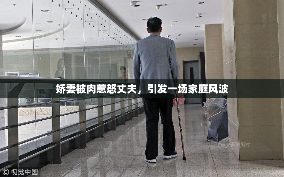 娇妻被肉惹怒丈夫，引发一场家庭风波