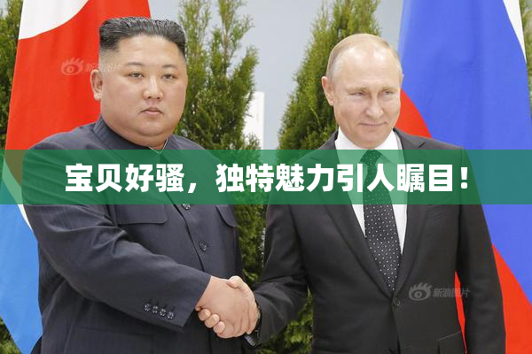 宝贝好骚，独特魅力引人瞩目！