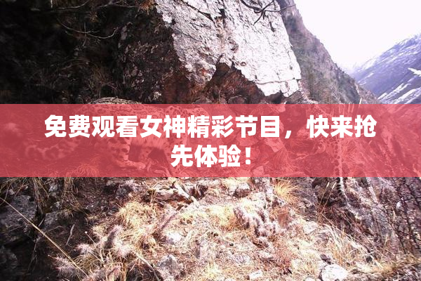 免费观看女神精彩节目，快来抢先体验！