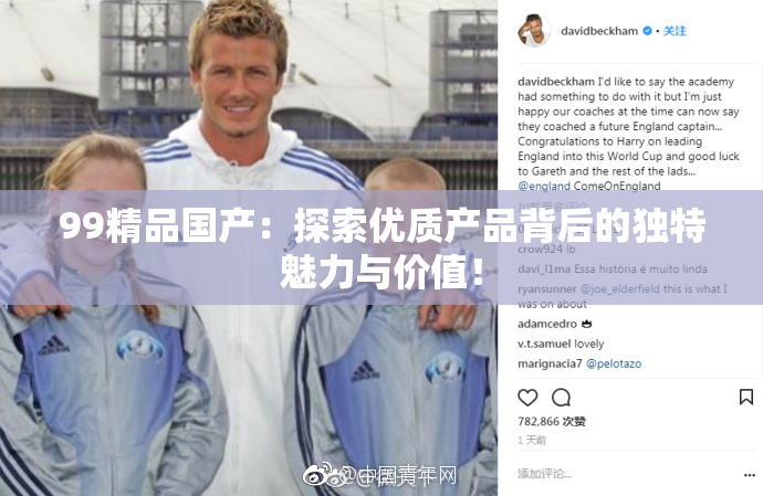 99精品国产：探索优质产品背后的独特魅力与价值！