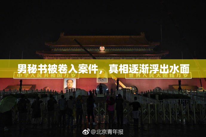男秘书被卷入案件，真相逐渐浮出水面