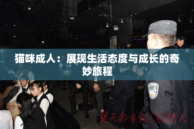 猫咪成人：展现生活态度与成长的奇妙旅程