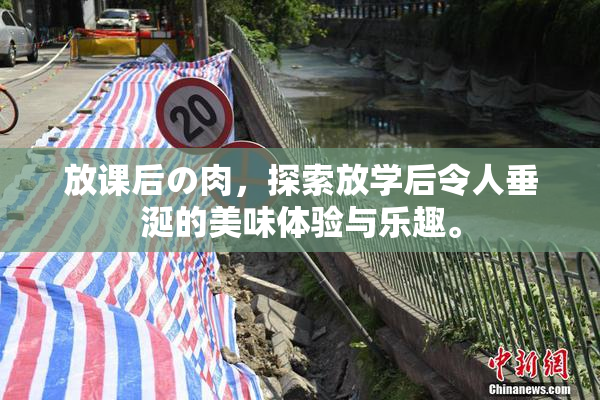 放课后の肉，探索放学后令人垂涎的美味体验与乐趣。