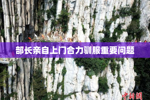 部长亲自上门合力驯服重要问题